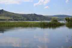 IMG_3082