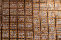 IMG_8088-